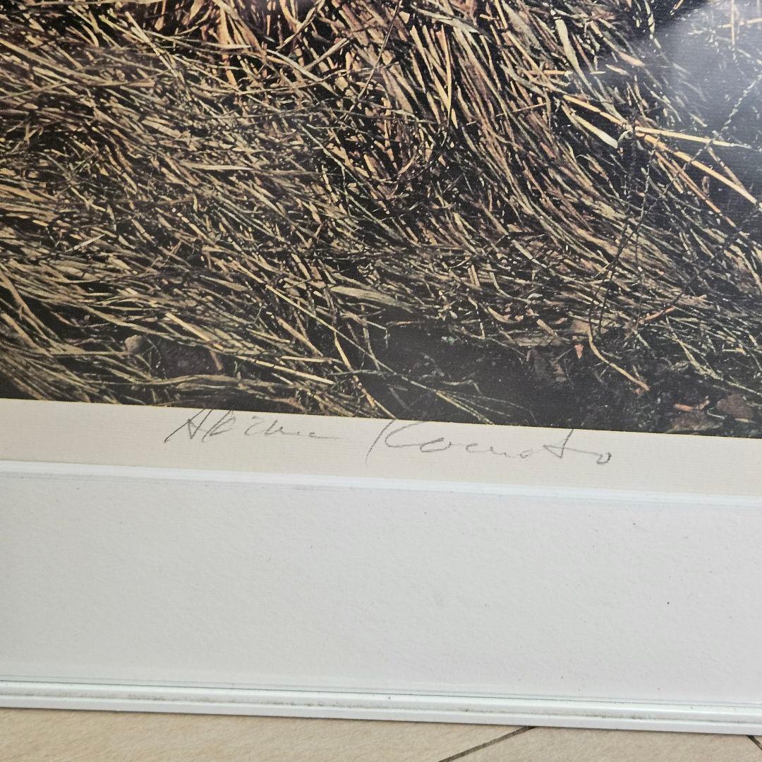 1985年 限定18部 小本章 シルクスクリーン 版画 seeing 真作