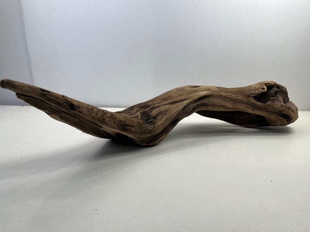 k50アク抜き済み流木 爬虫類シェルター レイアウト用 登り木 インテリア