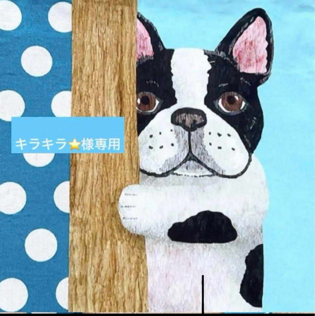 キラキラ⭐️　　花＆猫