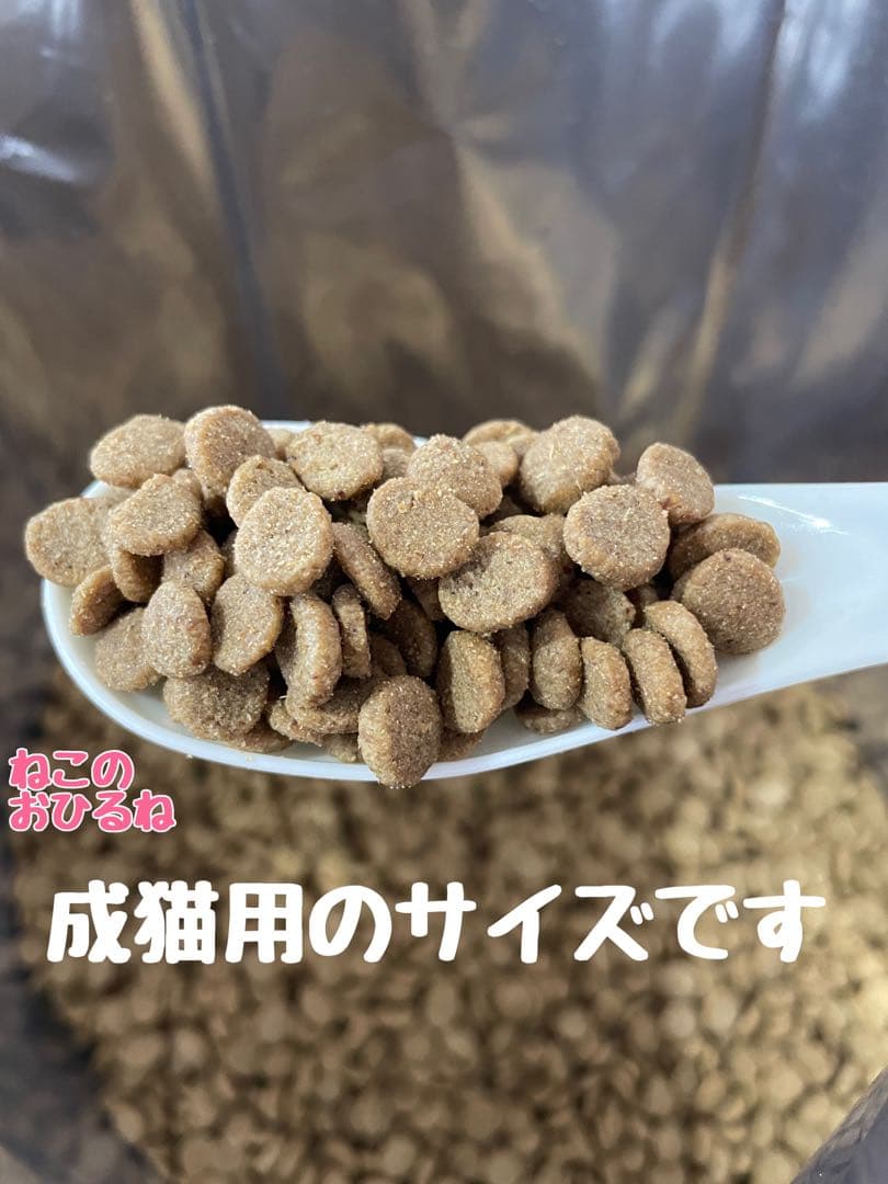 ニュートロ　シュプレモ　成猫用（チキン&サーモン）（白身魚&チキン）3kg×２袋