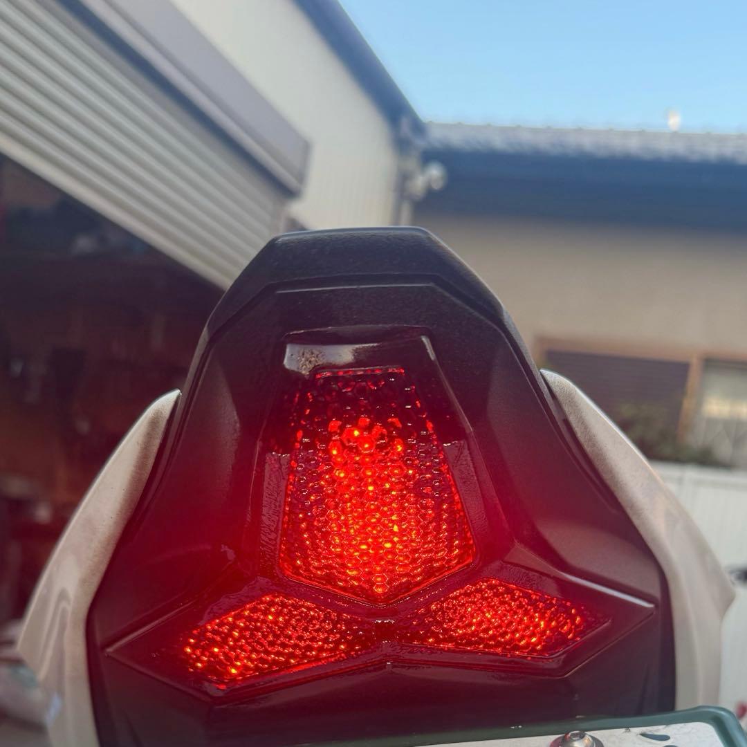 ZX25R ZX6R ZX10R TST ウインカー内蔵 テールライト