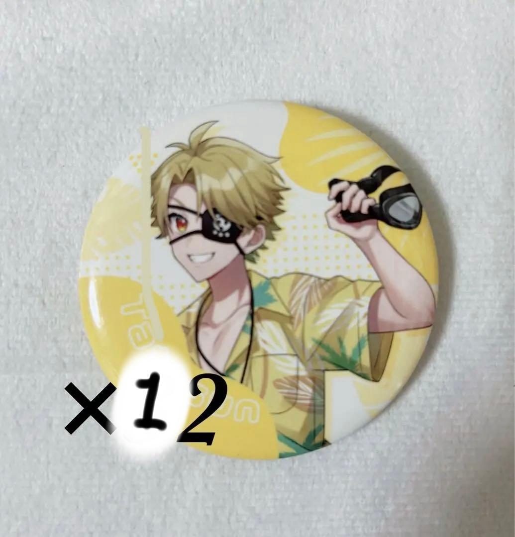 たっつんサマーランド缶バッチ12個