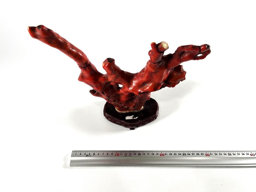 【送料無料・蔵出し品】珊瑚　珊瑚礁　赤珊瑚　台座付　飾り　詳細不明　写真参照