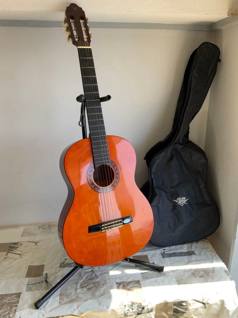 Valencia アコースティックギター オレンジ