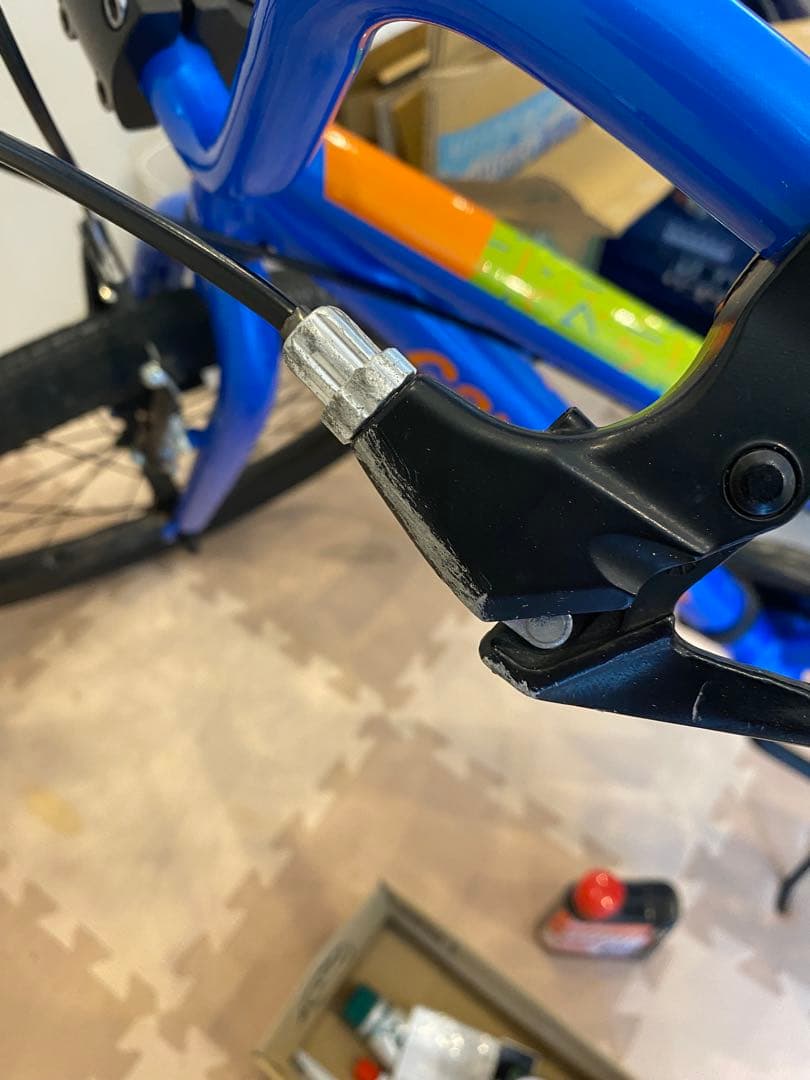 子供　キャノンデール　Cannondale フリーホイール　20インチ