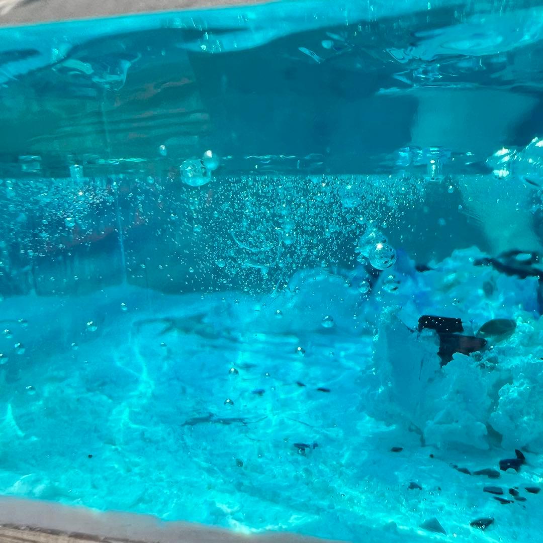 【波紋アート】さざなみクリスタル・プレミアム／期間限定でマルチminiライト付き