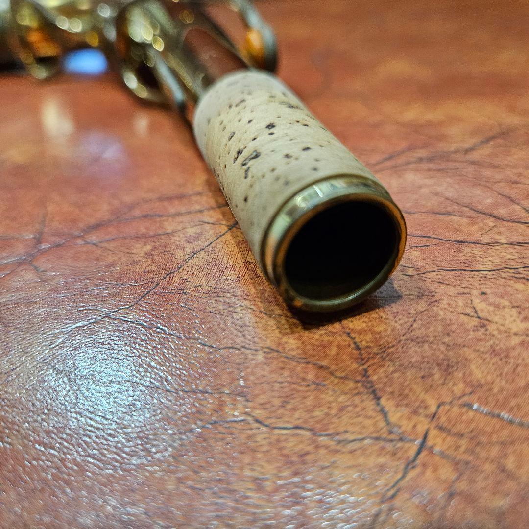 【Yanagisawa A-WO20】 ヤナギサワ アルトサックス