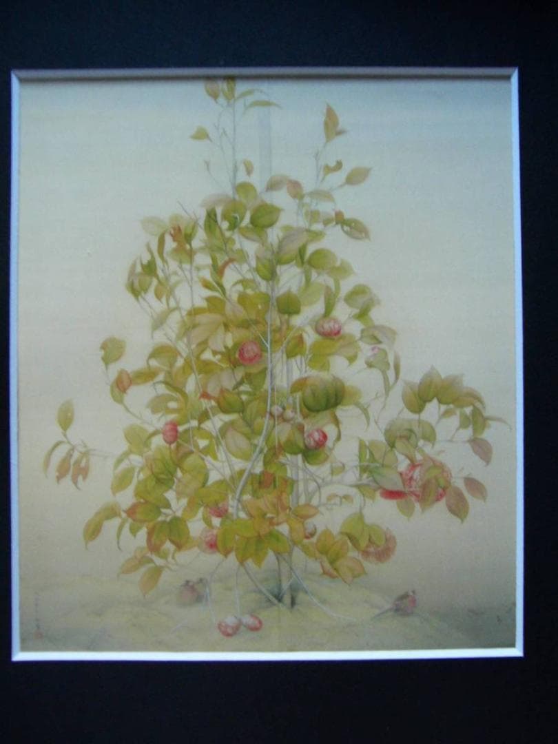 上村松篁 【椿】 高級画集画、状態良好、新品高級額装付、送料無料