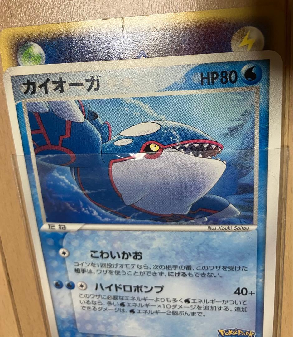 ポケパーク2005 限定ポケモンカード23枚セットプレミアムファイルブルーシート