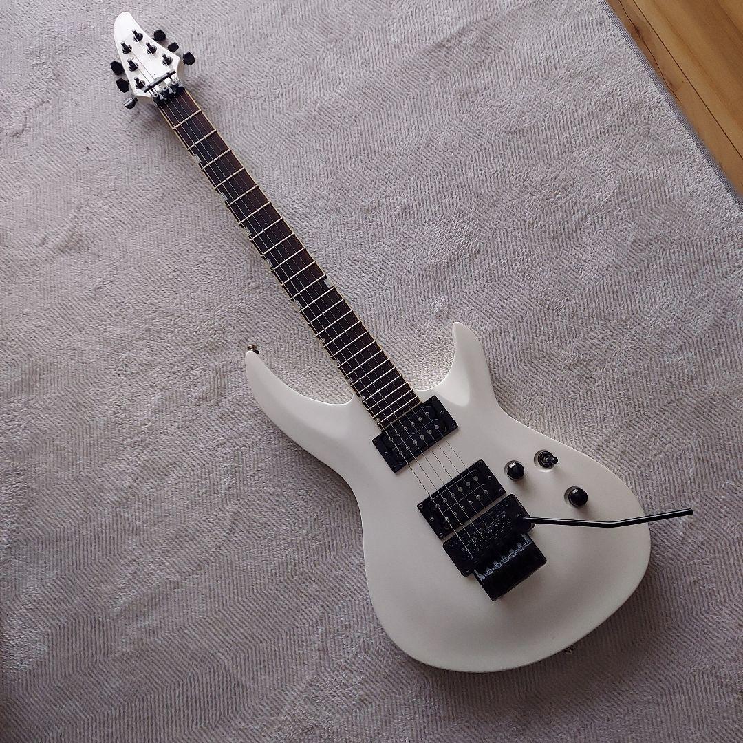 GRASS ROOTS ホライゾン　 フロイドローズ　セミハードケース付き