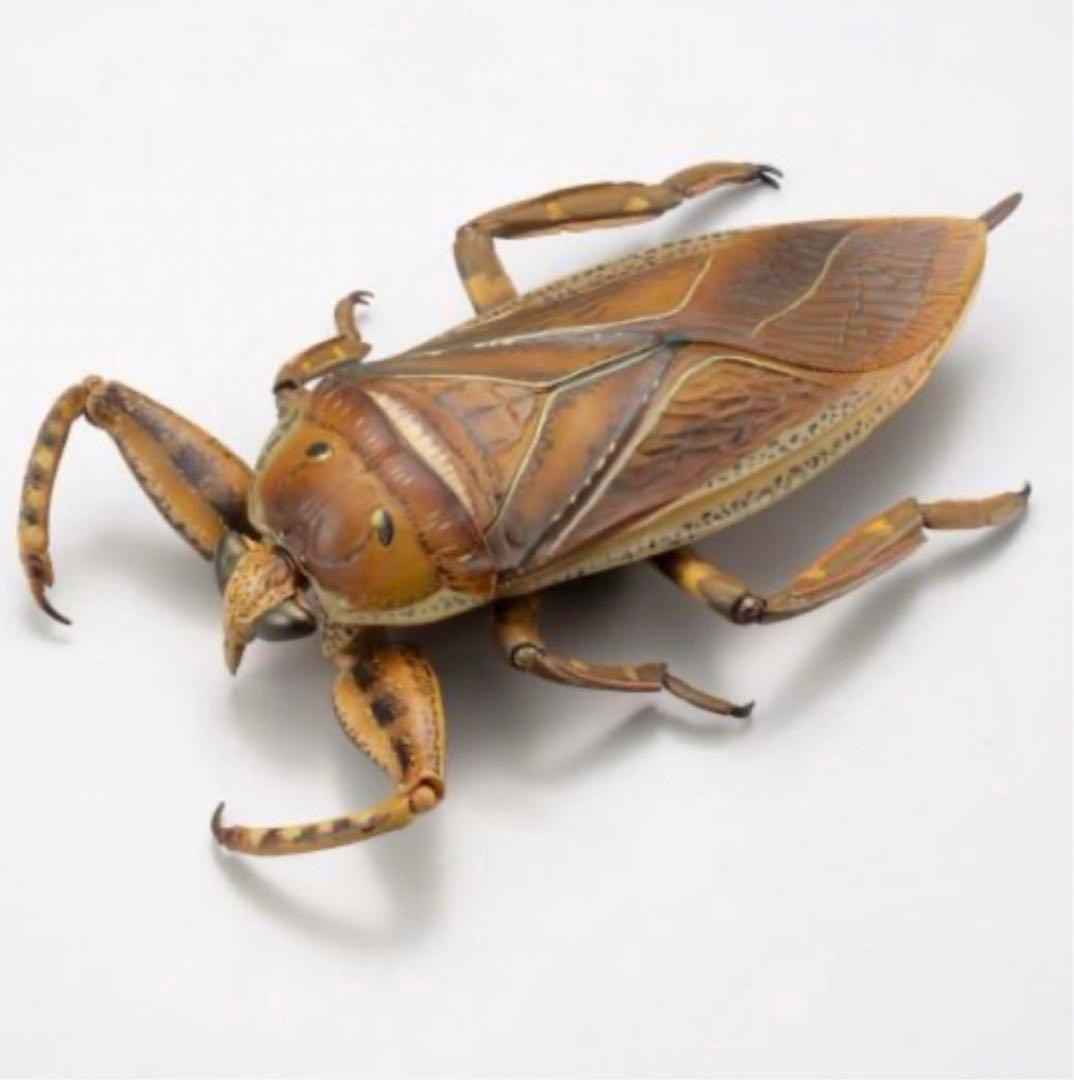 海洋堂 リボジオ　タガメ 未開封