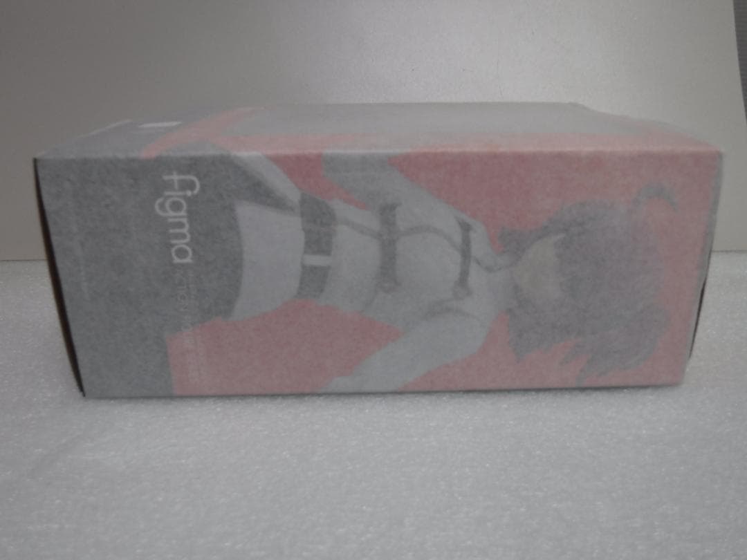 figma 426 Fate/Grand Order　　マスター／主人公　女　ⓝ