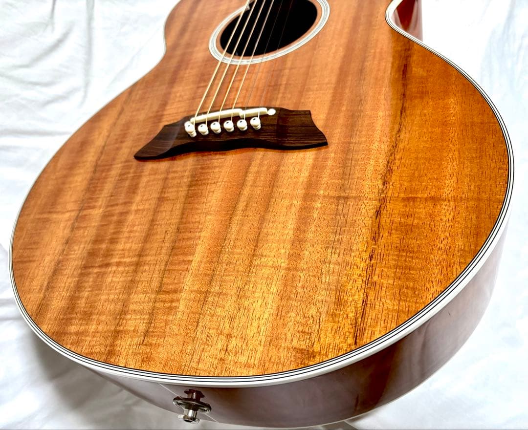 【ハワイアンコア】Takamine エレアコ PTU108K N 日本製