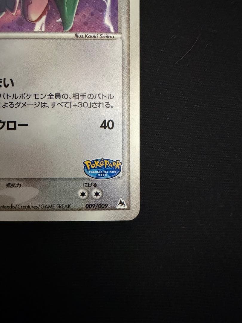 レックウザ009/009 ポケパークプレミアムファイルブルーシート