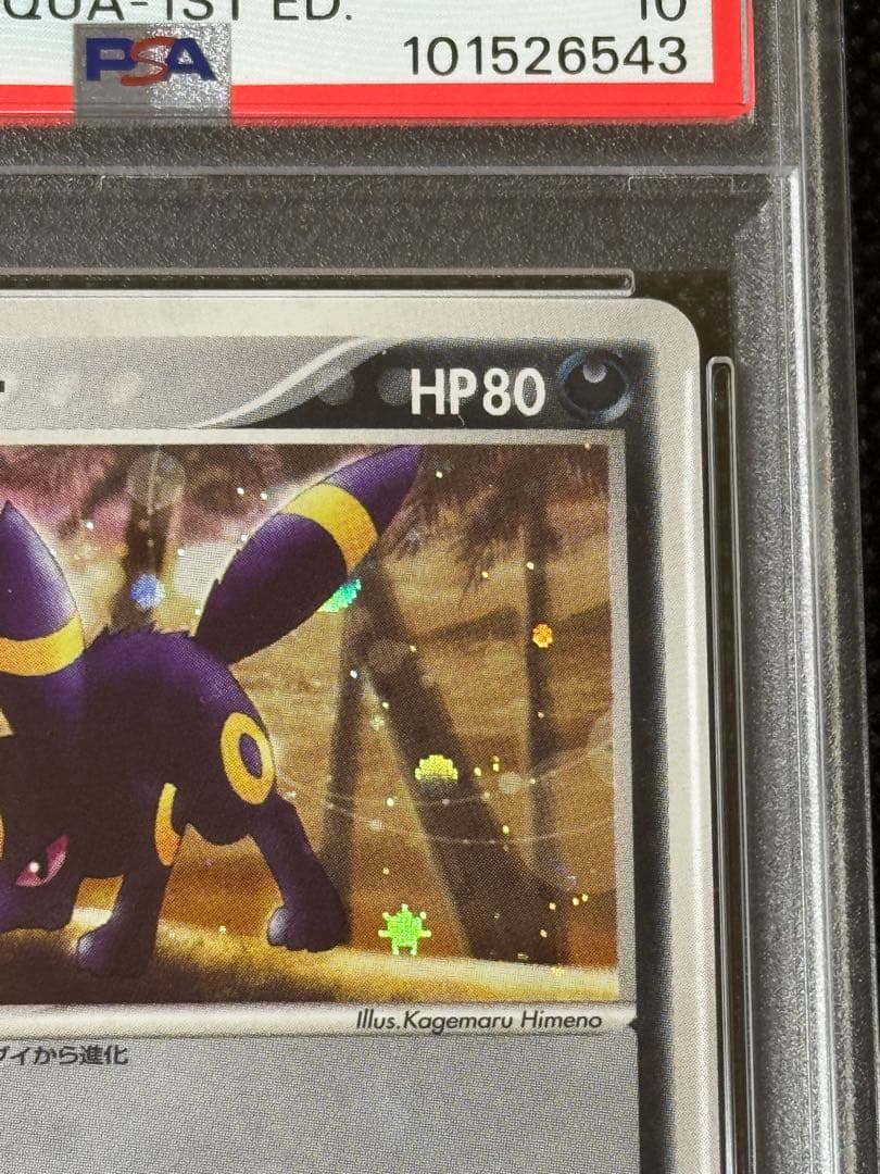 ブラッキー ホロPSA10 マグマVSアクア 1stエディション 1ed