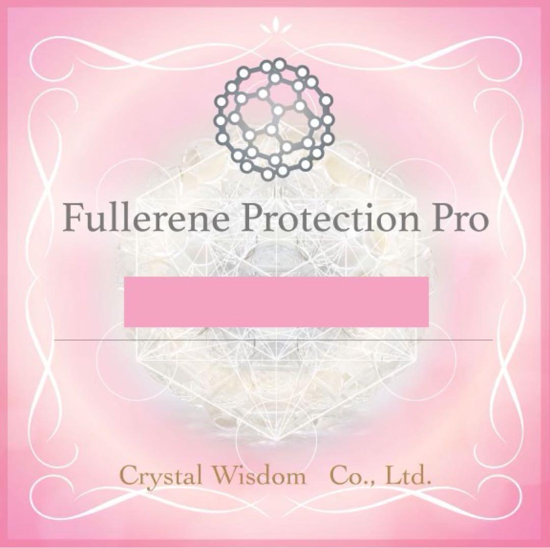 Wエネルギー‼️フラーレン❣️特大フラーレンIN天然フラーレンのシュンガイト★