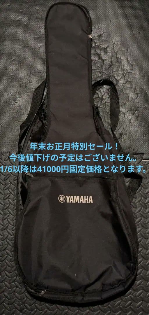 TEISCO テスコ MODEL 59 1PU セミアコ フルアコ ビザール