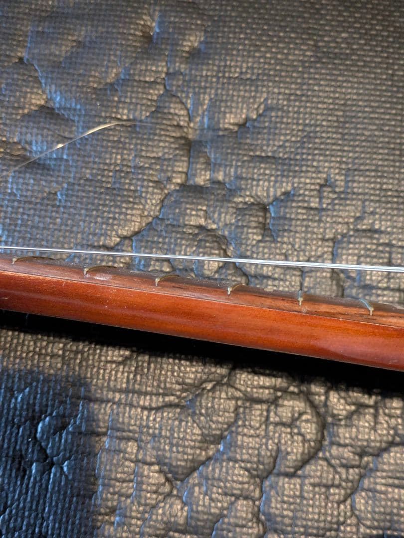 TEISCO テスコ MODEL 59 1PU セミアコ フルアコ ビザール