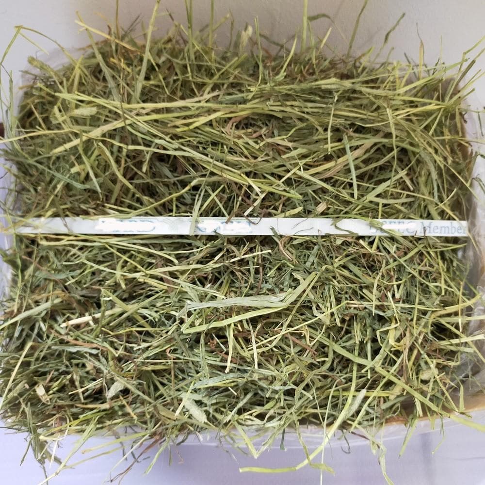 【11/30まで】US産 チモシー 50kg ２番刈り ソフトSプレミアム