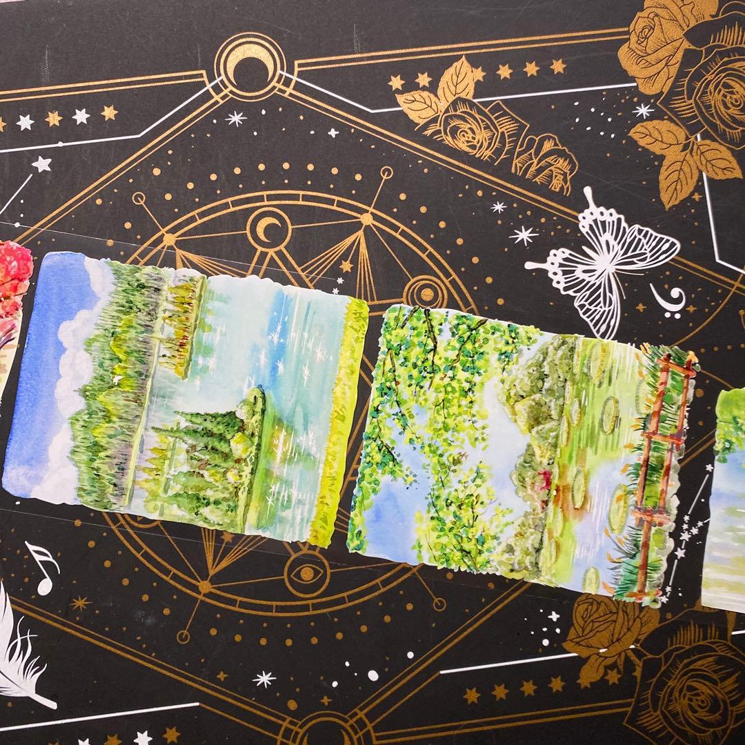 【9309】海外　マステ　中古巻　PETマスキングテープ　自然　背景系