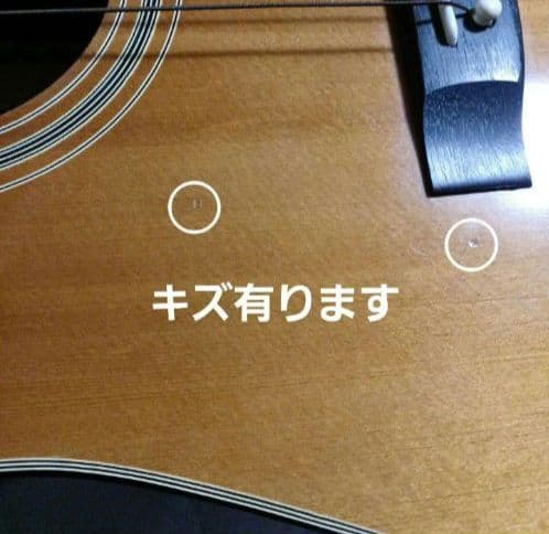 PHENIX アコースティックギター ドレッドノート　フェニックス