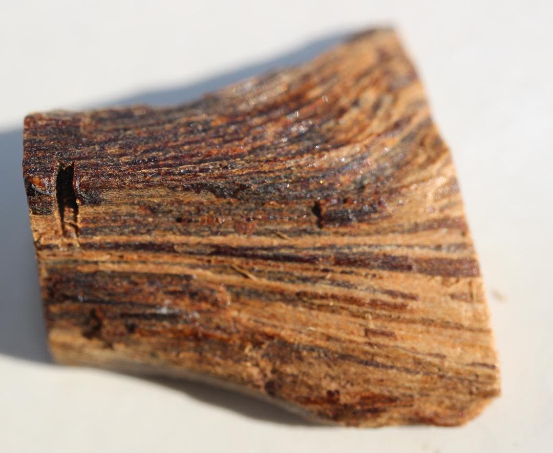 香木 古渡命銘木 「初音」約0.28g 沈香 伽羅 奇南 奇楠 お香 香道