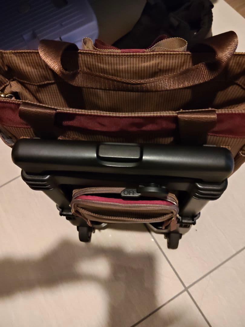 スワニー　キャリーバッグ