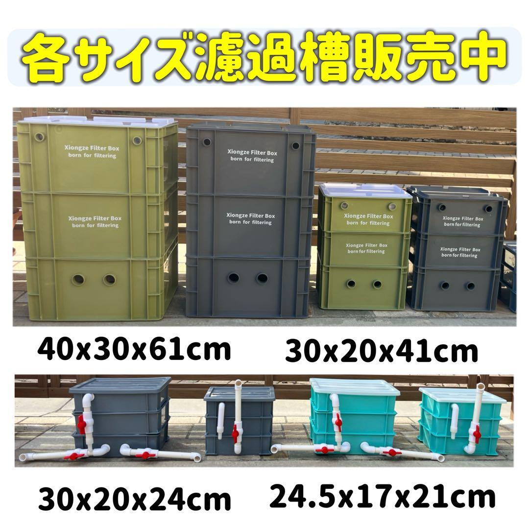 【めぐみん】60*40*68濾過槽