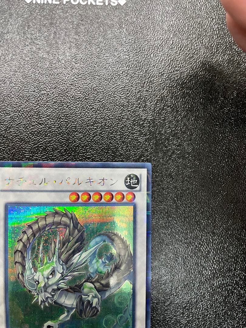 【貴重】 ナチュルパルキオン　dtc シークレット