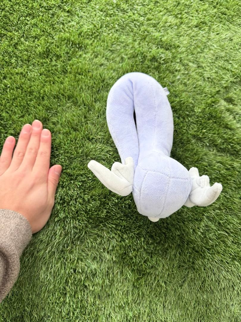 【全てタグ付】ポケセン限定レア3体セット（イーブイ・カプコケコ・ミニリュウ）