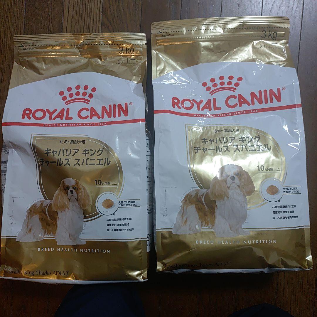  CANIN キバリアンキング・スパニエル 6キロ