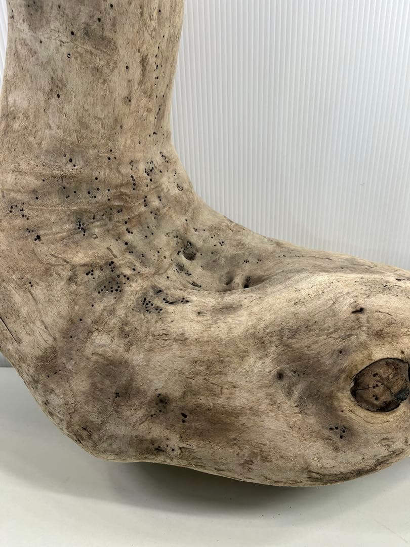 W29特大流木 アク抜き済み流木 爬虫類シェルター 登り木 インテリア 生け花