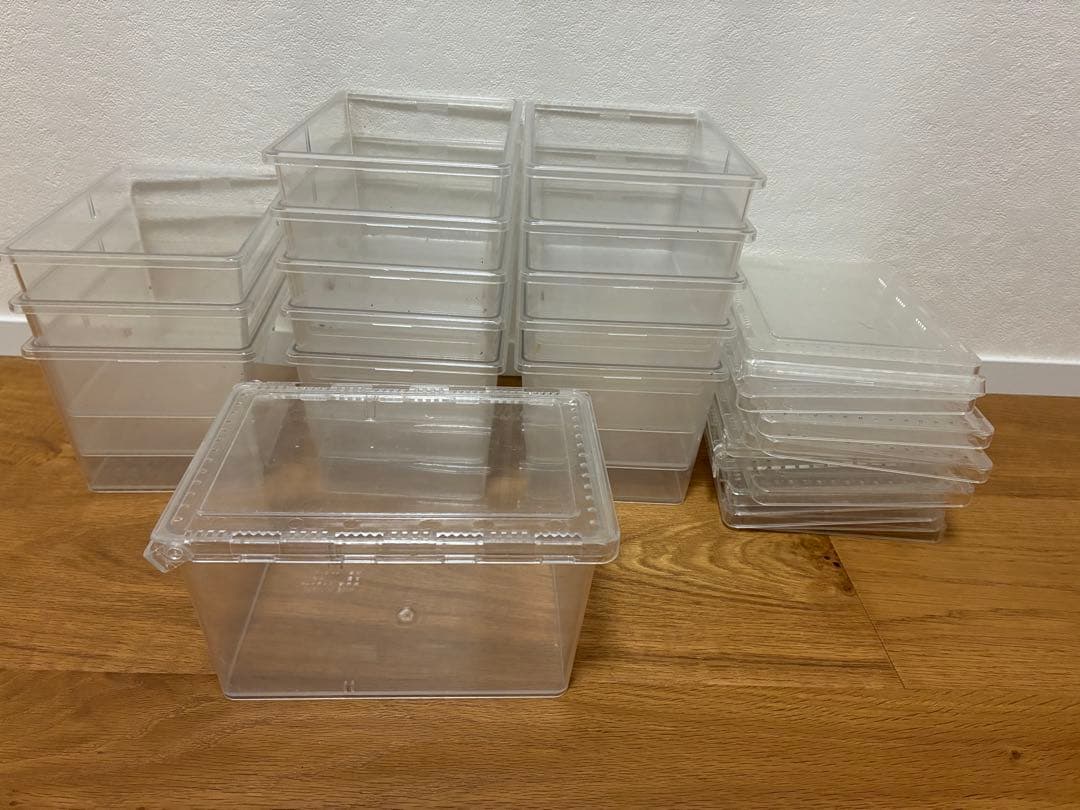 クワガタ ・カブトムシ　飼育良品　まとめ売り