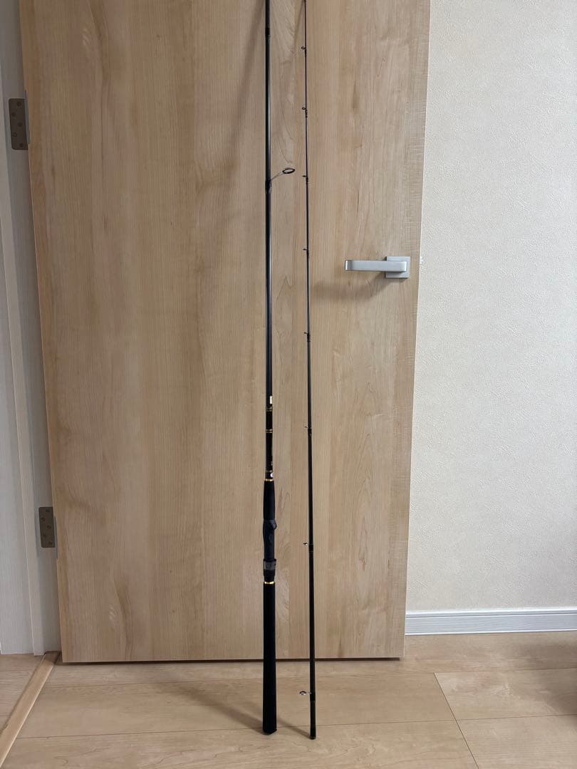 ダイワ　ルアニスト　96M ショアジギング