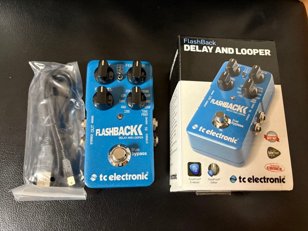 ギター tc electronic FLASHBACK Delay and Looper