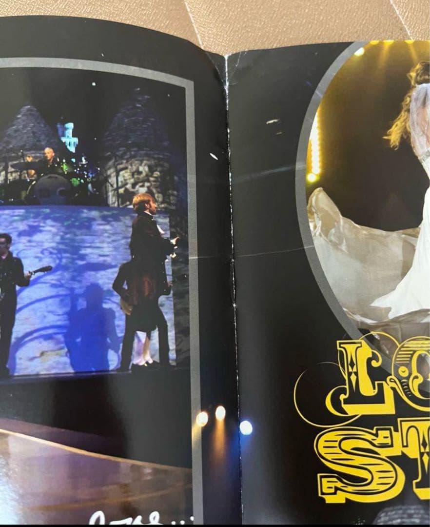 Taylor Swift fearlessツアーブック