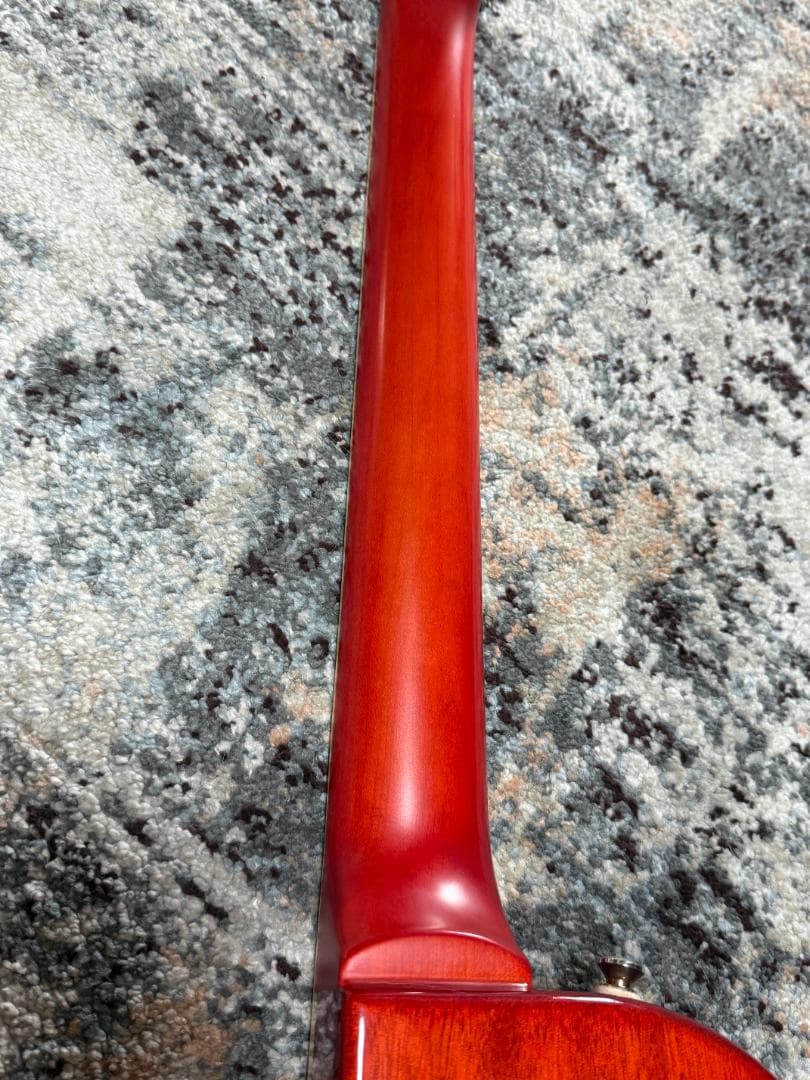 Epiphone Les Paul Ultra セイモア・ダンカン MOD