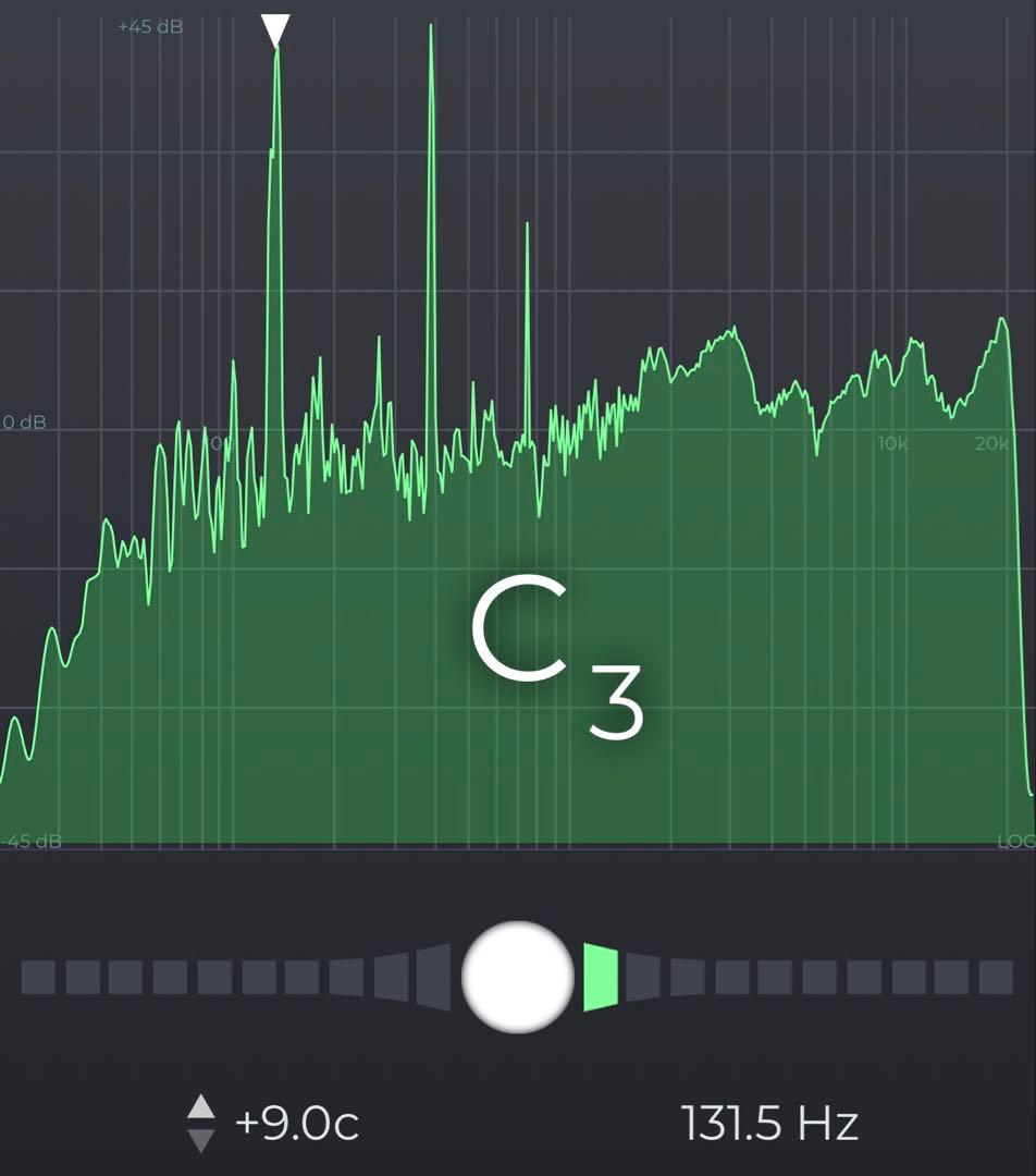 【直径25cm】チベタンシンギングボウル【C3】