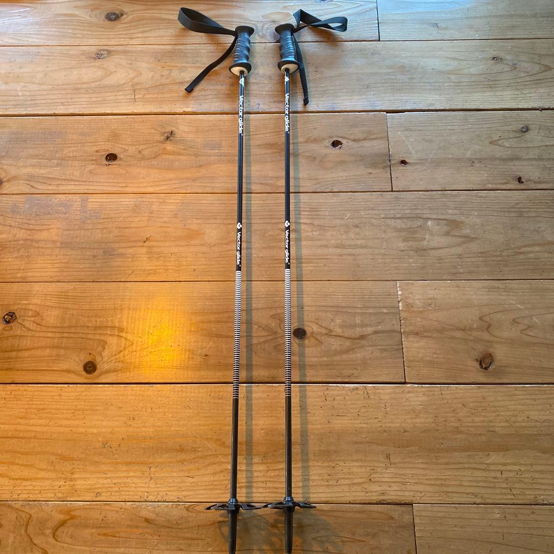 Vector Glide スキー ストック 110cm