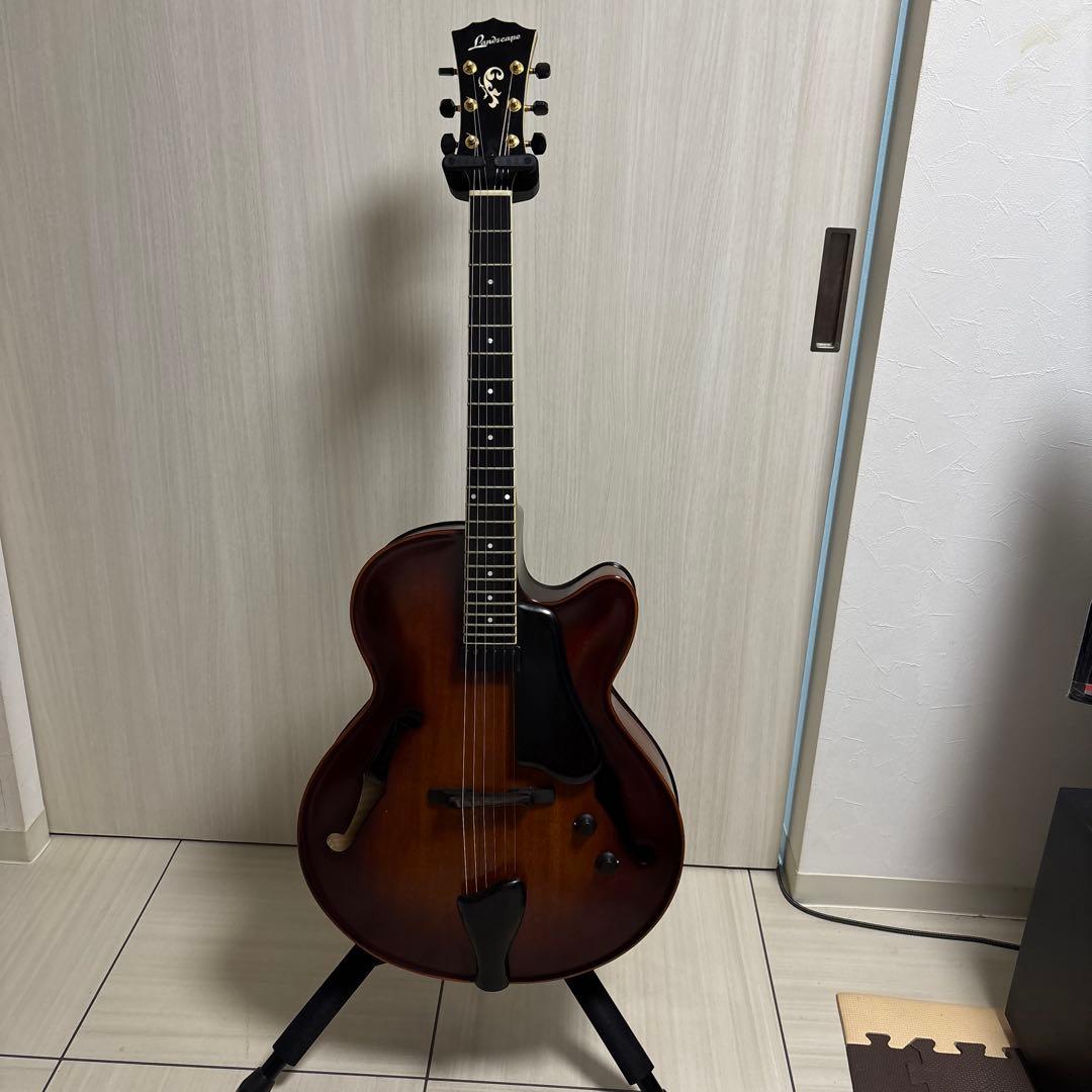 専用　Landscape ar1 ハードケース付き　フルアコ