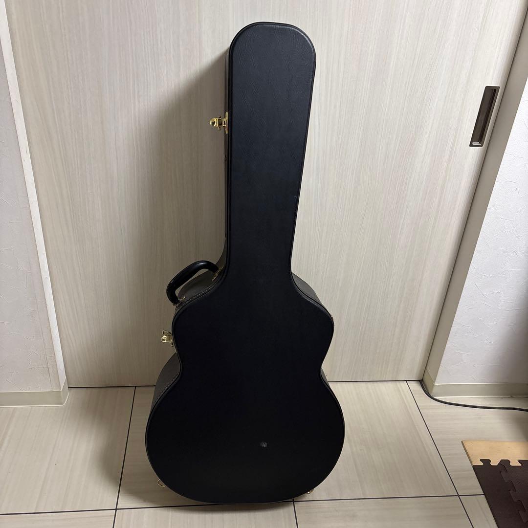 専用　Landscape ar1 ハードケース付き　フルアコ