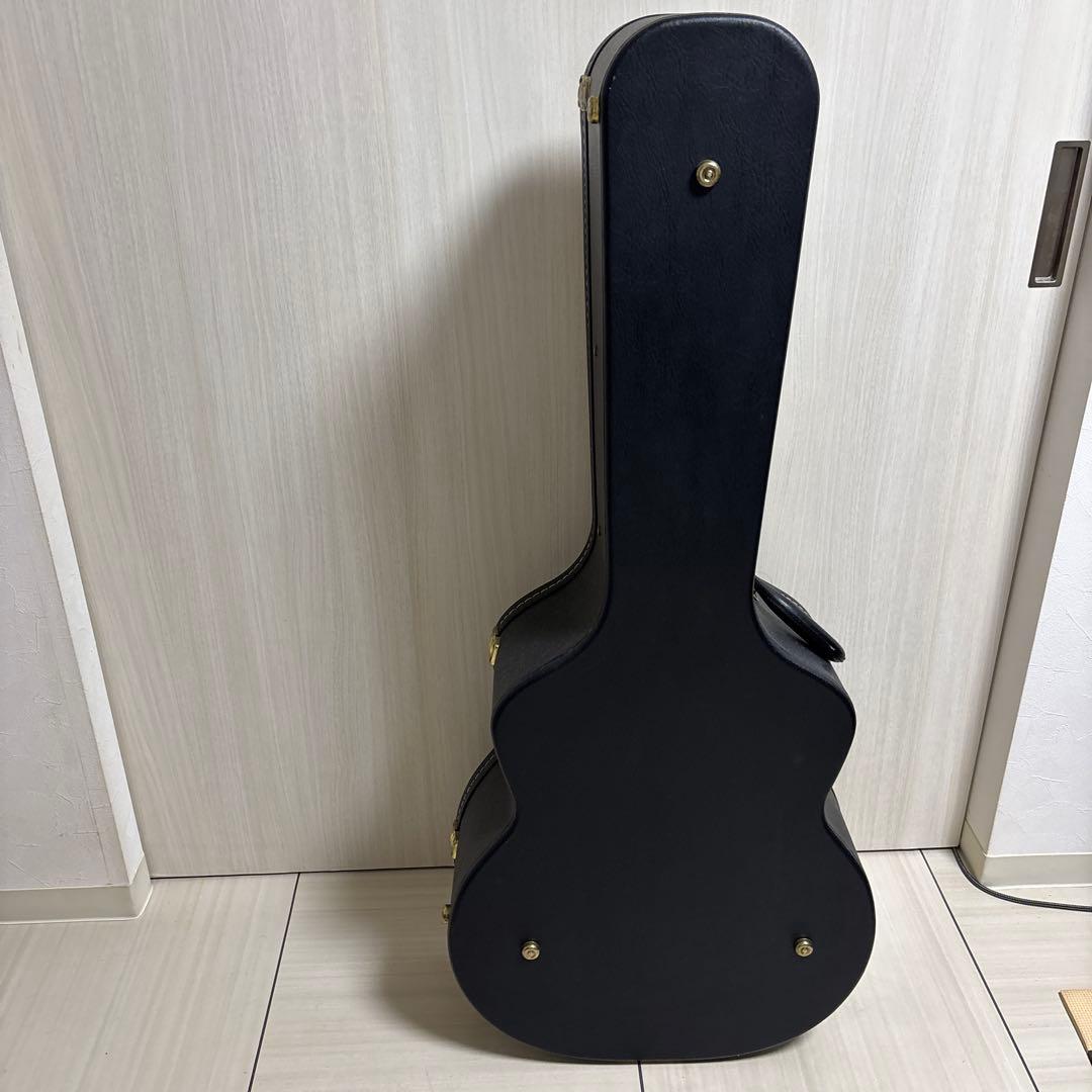 専用　Landscape ar1 ハードケース付き　フルアコ