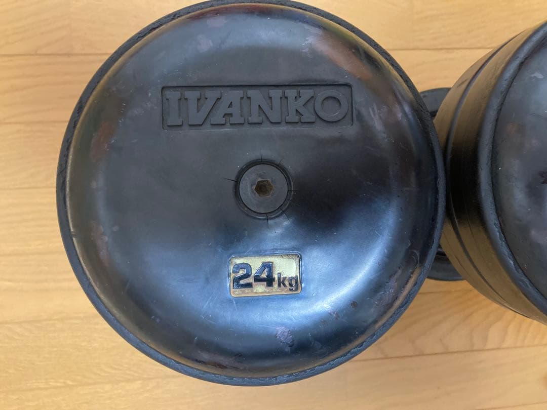 ②ivanko ジム用ラバーダンベル24kg　ゴールドジム アイロテック