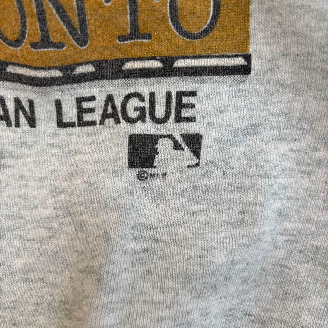 USA製 1992 ワールドシリーズ SALEM スウェット L相当 フルーツ