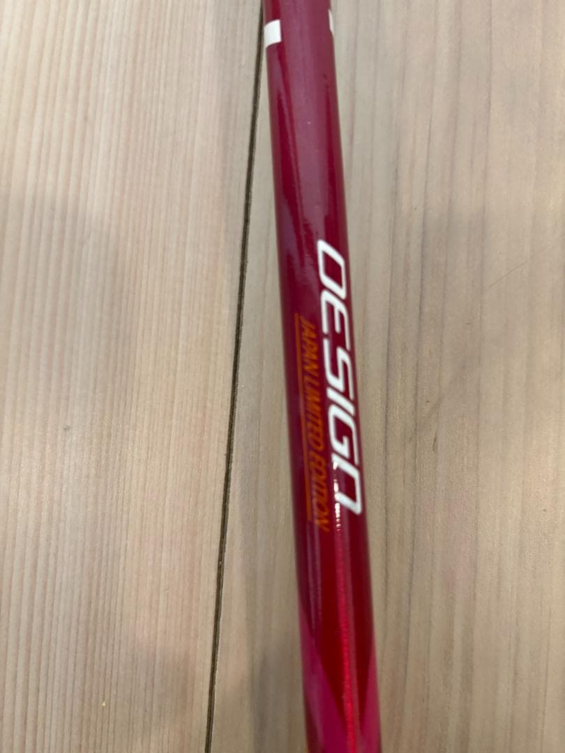 【おまけ付】SINANO（シナノ）フリーFAST α / RD　+　LEKI