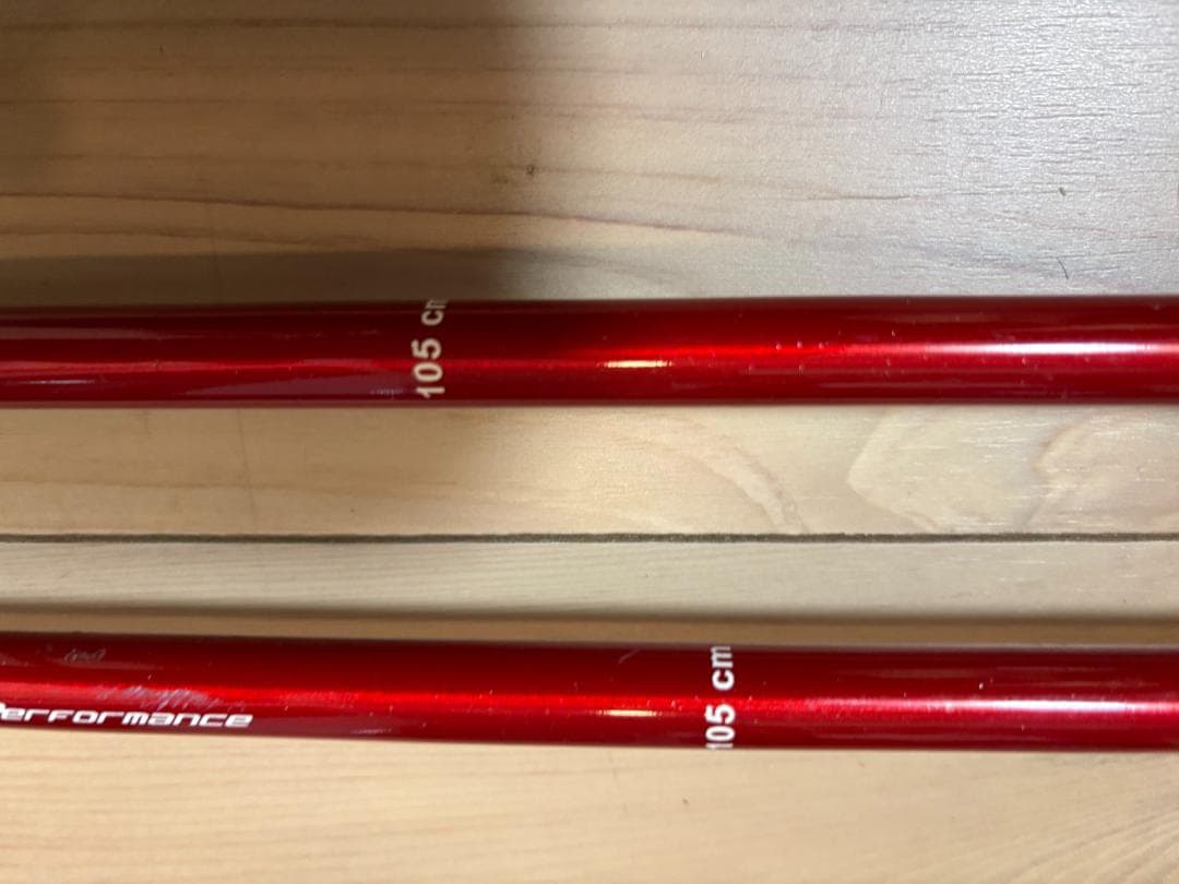 【おまけ付】SINANO（シナノ）フリーFAST α / RD　+　LEKI