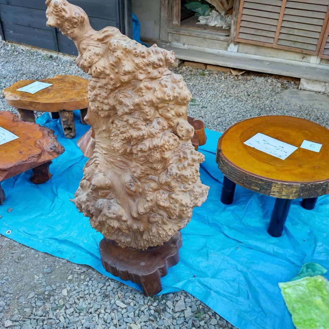 イチイ（一位）のつい立てです。