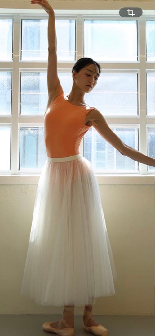 レヴダンス　レオタード　リバーシブル　Lサイズ