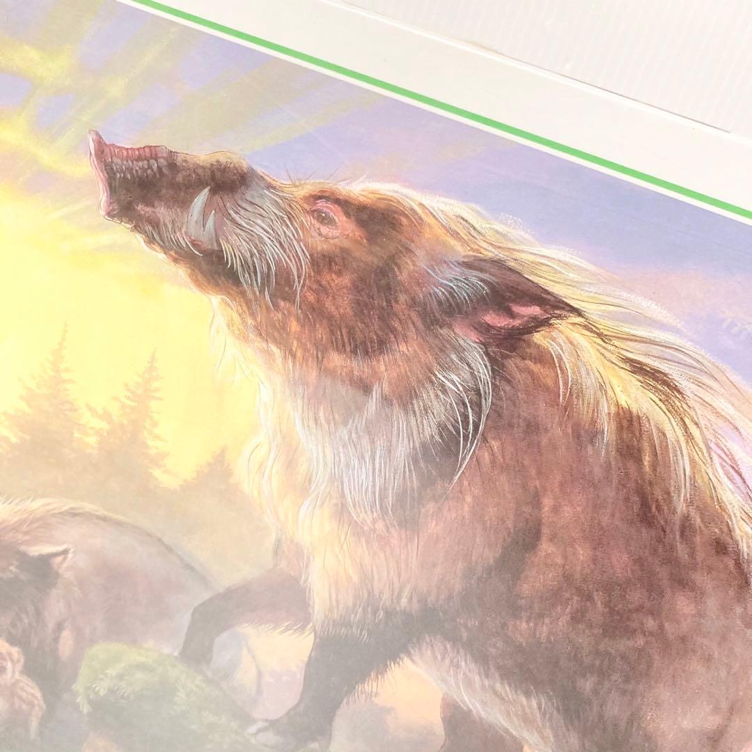 アップルワン ジグソーパズル 1000ピース 旭陽 猪之図  50x75cm