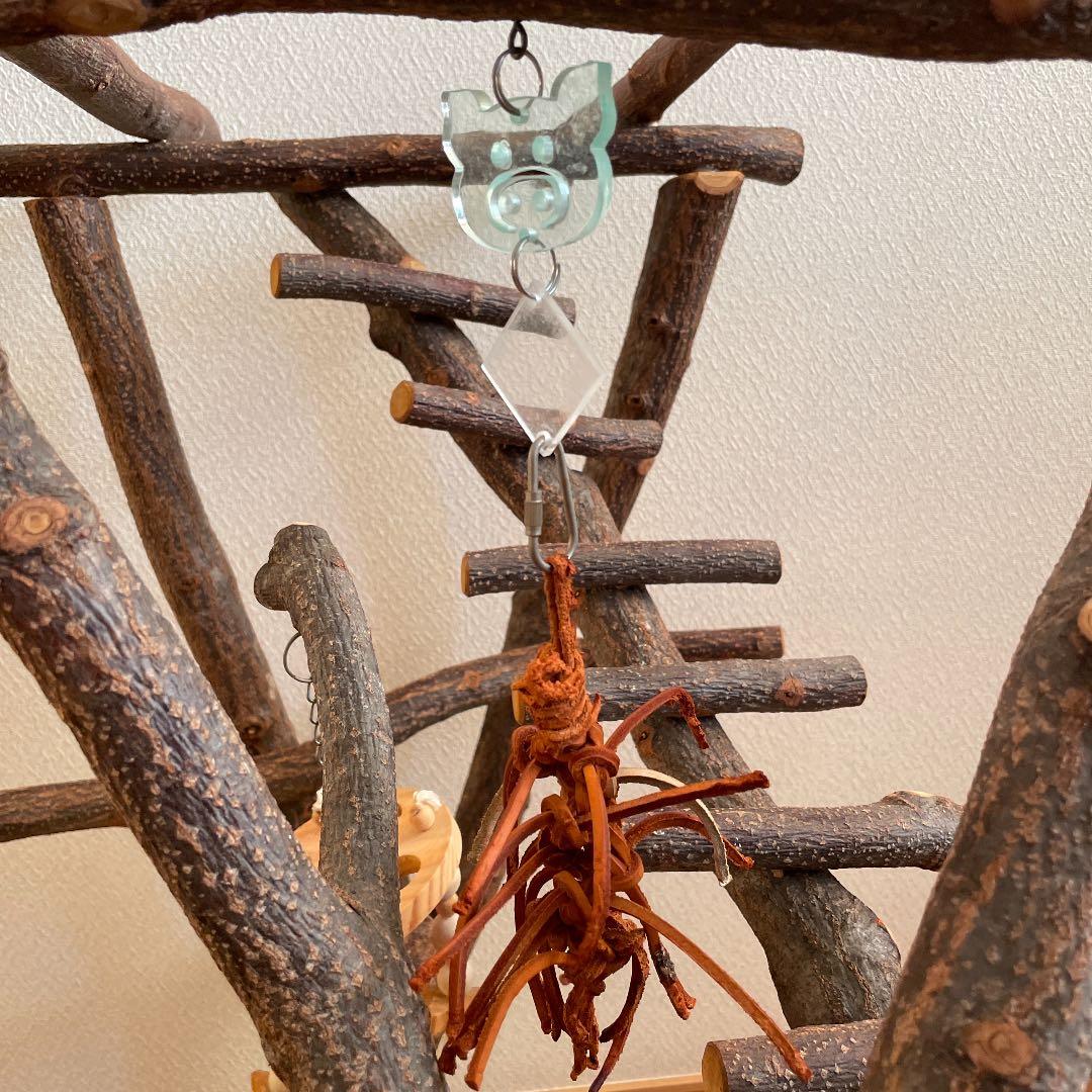 鳥さん用のアスレチックジム